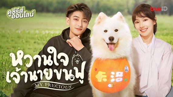 My Precious (2023) หวานใจเจ้านายขนฟู (พากย์ไทย) จบ