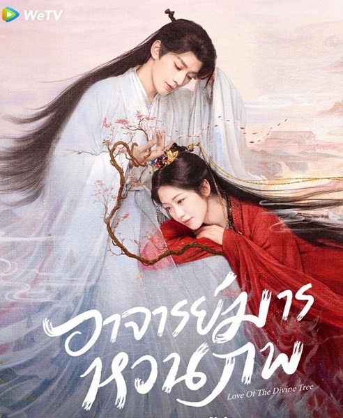 Love of the Divine Tree (2025) อาจารย์มารหวนภพ พากย์ไทย Ep.1-40 (จบ)